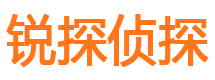 阿合奇市调查公司